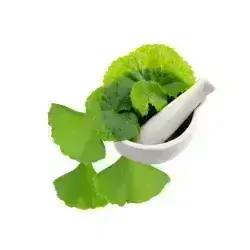 Čistící gel s bylinnými extrakty pro zklidnění a regeneraci pokožky 